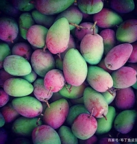 υ^(q)V|(zh)Саɫ